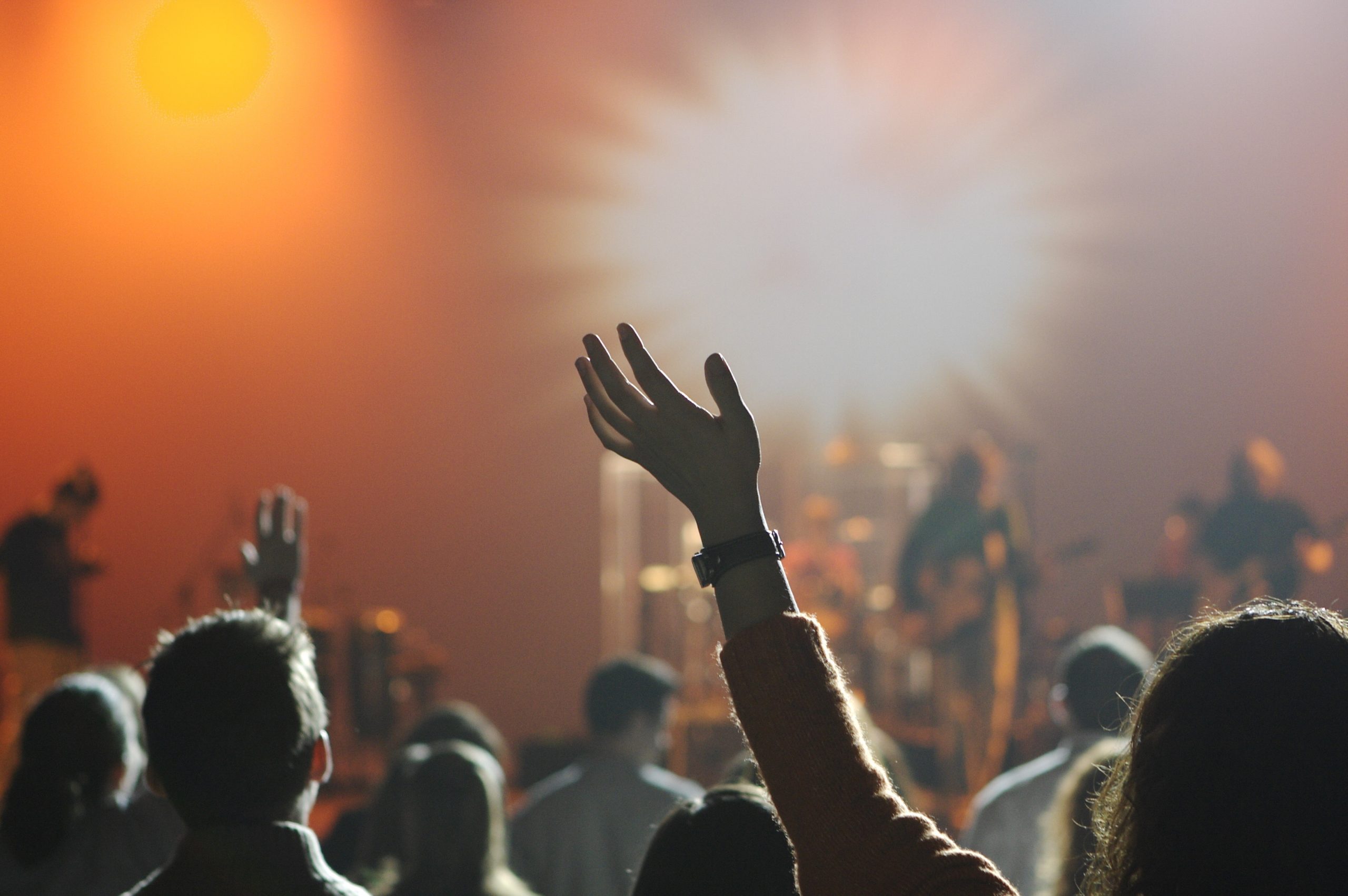 Concerto audience